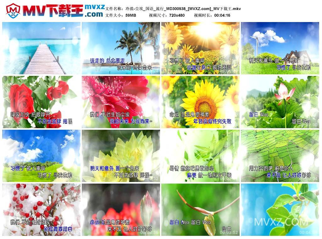 冷漠-尘埃_国语_流行_MD300938